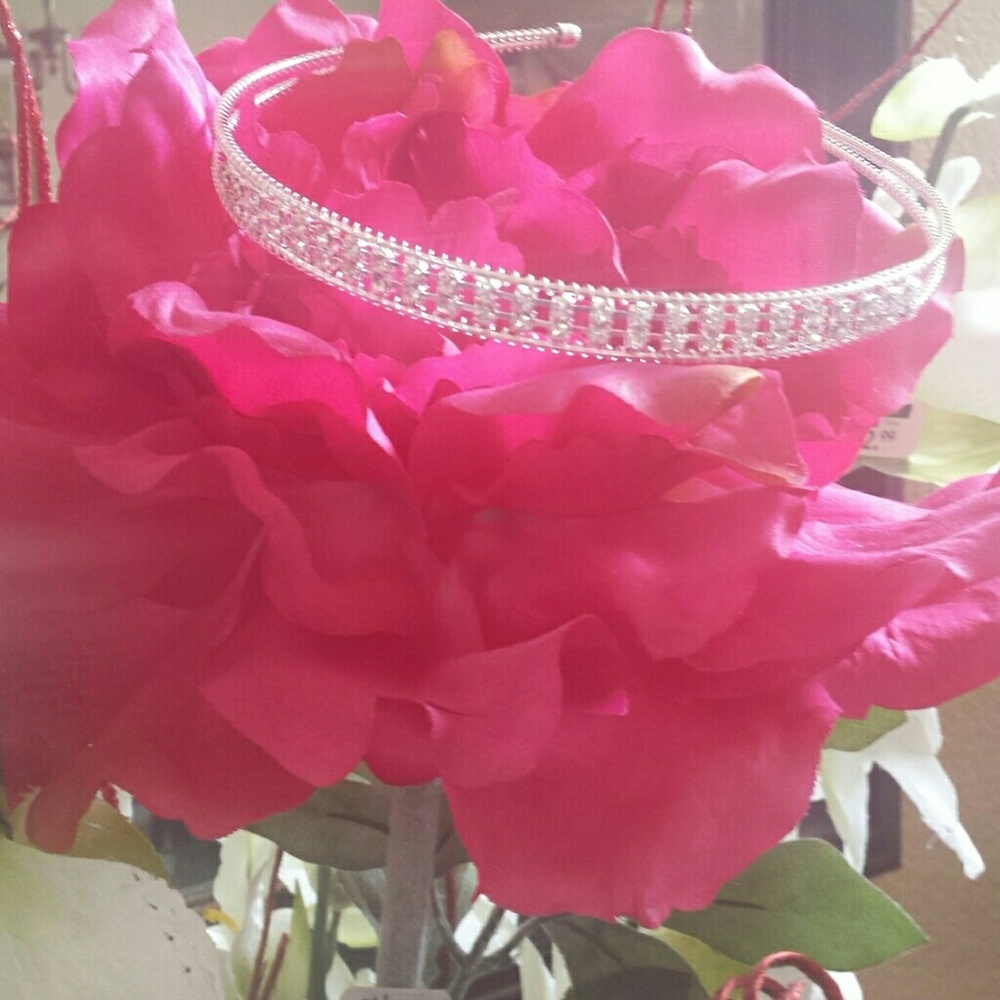 ***Beautiful Headband***